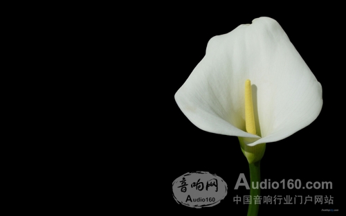 Sennheiser的前世与今生j9九游会入口引领世界音频未来(图7)